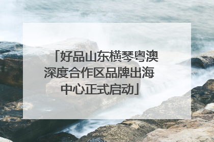 好品山东横琴粤澳深度合作区品牌出海中心正式启动
