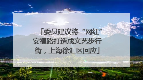 委员建议将“网红”安福路打造成文艺步行街，上海徐汇区回应
