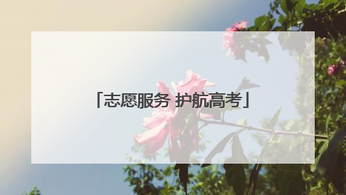 志愿服务 护航高考