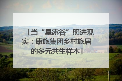 当“星露谷”照进现实：康旅集团乡村旅居的多元共生样本