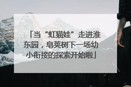 当“虹猫娃”走进淮东园，皂荚树下一场幼小衔接的探索开始啦