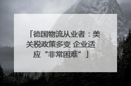 德国物流从业者：美关税政策多变 企业适应“非常困难”