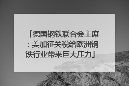 德国钢铁联合会主席：美加征关税给欧洲钢铁行业带来巨大压力