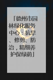 德州市园林绿化服务中心：抗旱、修剪、防治，精细养护保绿荫
