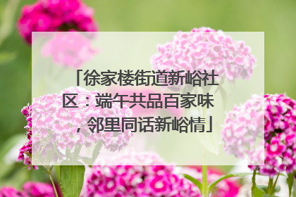 徐家楼街道新峪社区：端午共品百家味，邻里同话新峪情