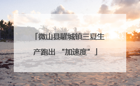 微山县驩城镇三夏生产跑出 “加速度”
