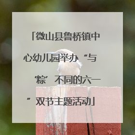 微山县鲁桥镇中心幼儿园举办“与‘粽’不同的六一”双节主题活动