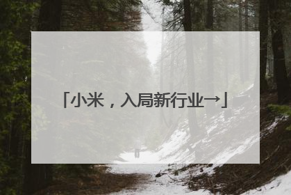 小米，入局新行业→