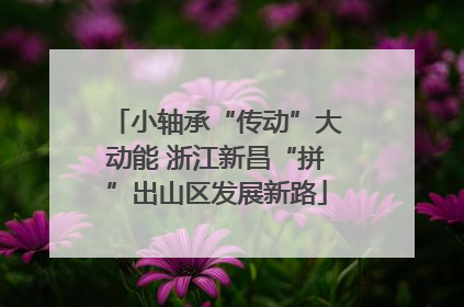 小轴承“传动”大动能 浙江新昌“拼”出山区发展新路