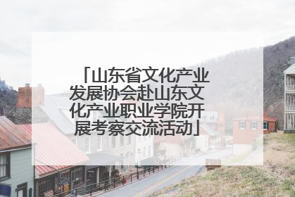 山东省文化产业发展协会赴山东文化产业职业学院开展考察交流活动