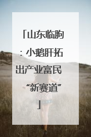山东临朐：小鹅肝拓出产业富民“新赛道”