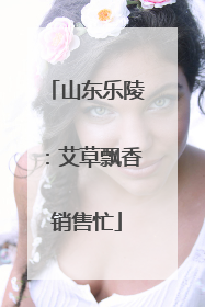 山东乐陵：艾草飘香销售忙