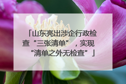 山东亮出涉企行政检查“三张清单”，实现“清单之外无检查”