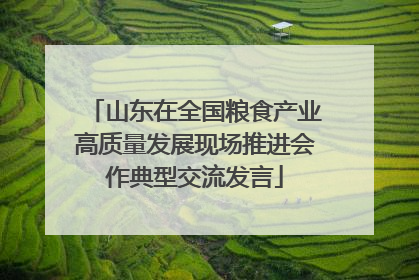 山东在全国粮食产业高质量发展现场推进会作典型交流发言