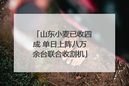山东小麦已收四成 单日上阵八万余台联合收割机