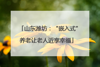 山东潍坊：“嵌入式”养老让老人近享幸福
