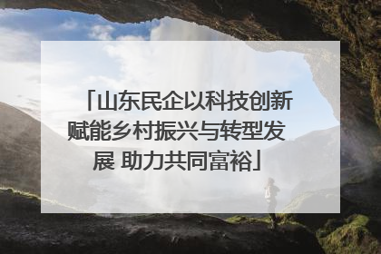 山东民企以科技创新赋能乡村振兴与转型发展 助力共同富裕
