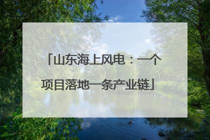 山东海上风电：一个项目落地一条产业链