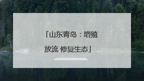 山东青岛：增殖放流 修复生态