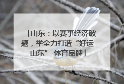 山东：以赛事经济破题，举全力打造“好运山东” 体育品牌
