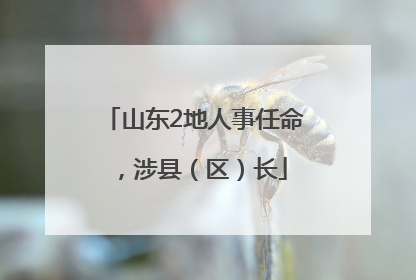山东2地人事任命，涉县（区）长