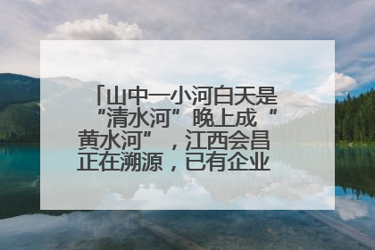 山中一小河白天是“清水河”晚上成“黄水河”，江西会昌正在溯源，已有企业被要求停工
