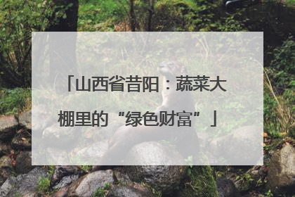 山西省昔阳：蔬菜大棚里的“绿色财富”