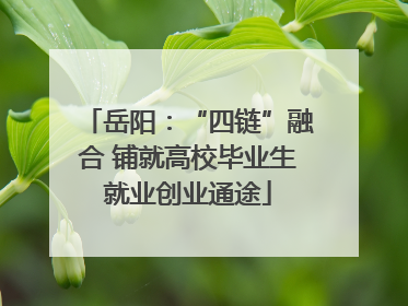 岳阳：“四链”融合 铺就高校毕业生就业创业通途