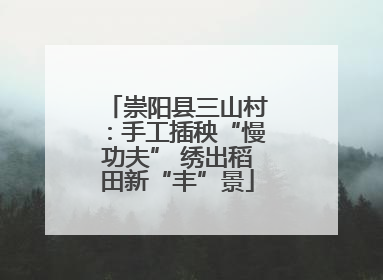 崇阳县三山村：手工插秧“慢功夫” 绣出稻田新“丰”景