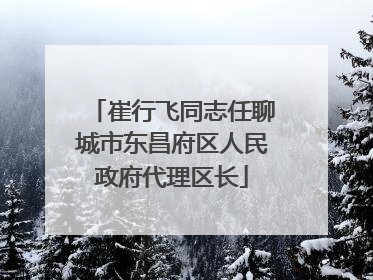 崔行飞同志任聊城市东昌府区人民政府代理区长