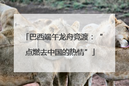 巴西端午龙舟竞渡：“点燃去中国的热情”