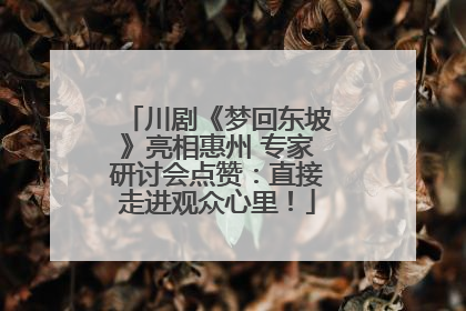 川剧《梦回东坡》亮相惠州 专家研讨会点赞：直接走进观众心里！