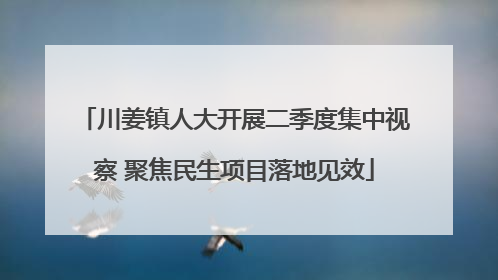 川姜镇人大开展二季度集中视察 聚焦民生项目落地见效