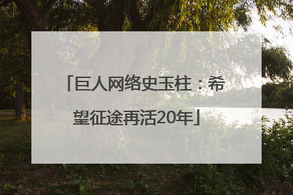 巨人网络史玉柱：希望征途再活20年