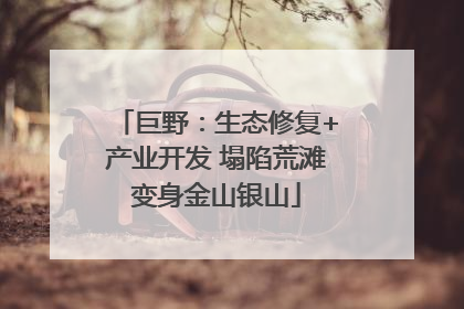 巨野：生态修复+产业开发 塌陷荒滩变身金山银山