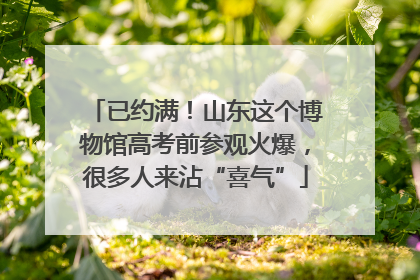 已约满！山东这个博物馆高考前参观火爆，很多人来沾“喜气”