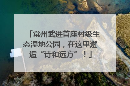 常州武进首座村级生态湿地公园，在这里邂逅“诗和远方”！