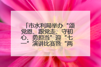 市水利局举办“颂党恩、跟党走、守初心、勇担当”迎“七一”演讲比赛暨“两优一先”表彰活动