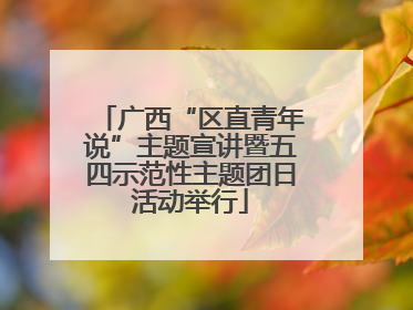 广西“区直青年说”主题宣讲暨五四示范性主题团日活动举行