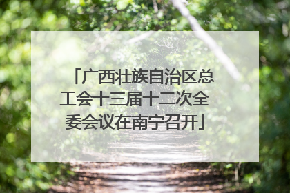 广西壮族自治区总工会十三届十二次全委会议在南宁召开