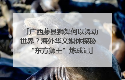 广西藤县狮舞何以舞动世界？海外华文媒体探秘“东方狮王”炼成记
