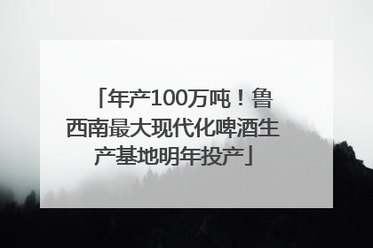 年产100万吨！鲁西南最大现代化啤酒生产基地明年投产