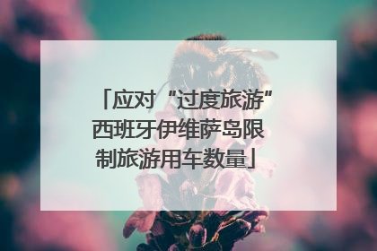 应对“过度旅游” 西班牙伊维萨岛限制旅游用车数量