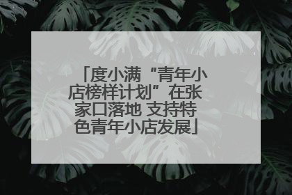 度小满“青年小店榜样计划”在张家口落地 支持特色青年小店发展