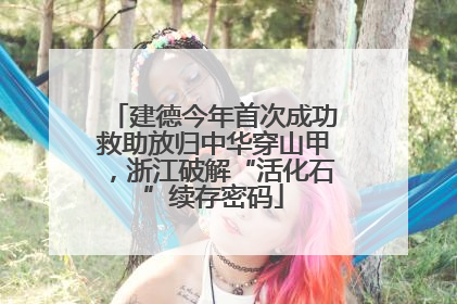 建德今年首次成功救助放归中华穿山甲，浙江破解“活化石”续存密码