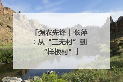 强农先锋丨张萍：从“三无村”到“样板村”