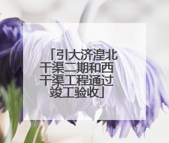 引大济湟北干渠二期和西干渠工程通过竣工验收