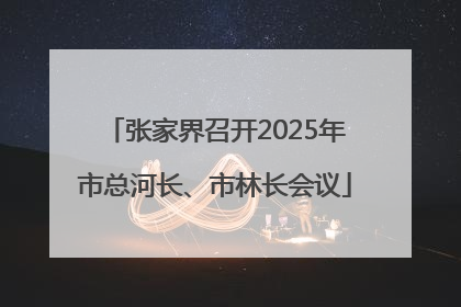 张家界召开2025年市总河长、市林长会议