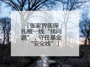 张家界医保：扎根一线“找问题”，守住基金“安全线”