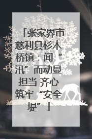 张家界市慈利县杉木桥镇：闻“汛”而动显担当 齐心筑牢“安全堤”